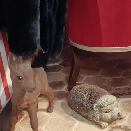 Les Petites Dieppoises - La Taniere Du Loup