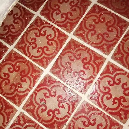 Les Petites Dieppoises - La Taniere Du Loup * Dieppe