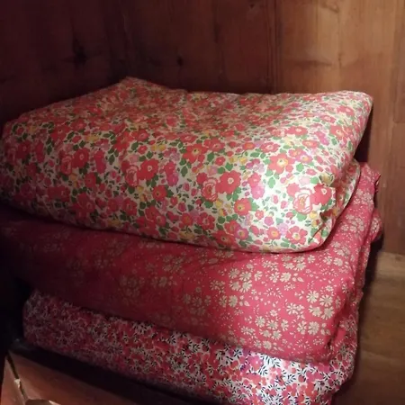 Les Petites Dieppoises - La Taniere Du Loup Daire